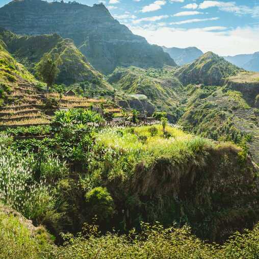 Üppig grüne Terrassenfelder in den Bergen von Santo Antão auf den Kapverden bei mildem Klima.