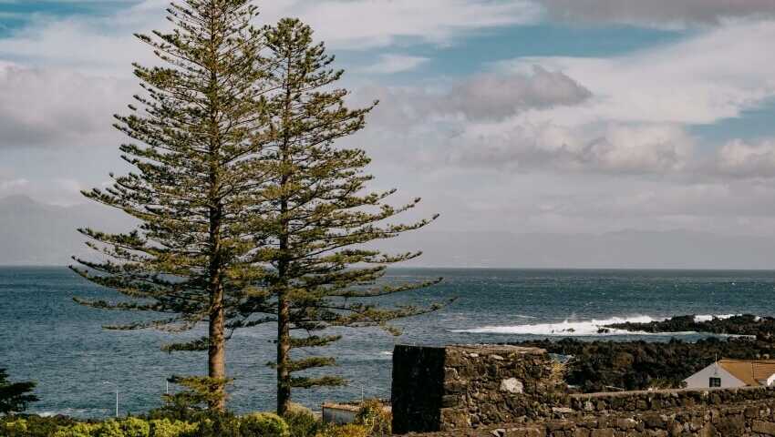 Pousada-juventude-pico-1689