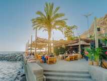 Saccharum Hotel- Außenterrasse mt Bar und Palmen