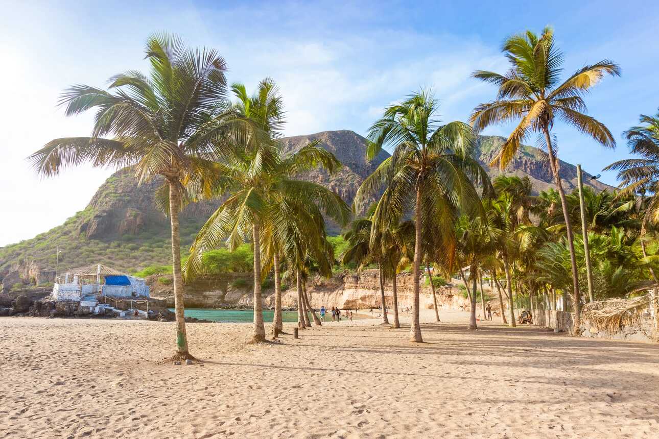 Sandstrand mit Palmen und Blick auf das Bergpanorama in Tarrafal auf den Kapverden.