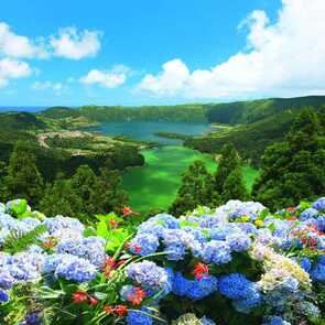 Sete-cidades-vista-do-rei-azoren-hortensien