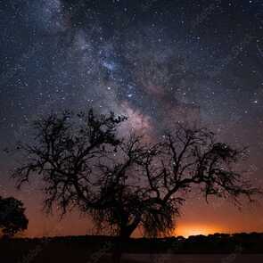 Ein unvergesslicher Anblick: Die Milchstraße funkelt über dem Dark Sky Alqueva im Alentejo.
