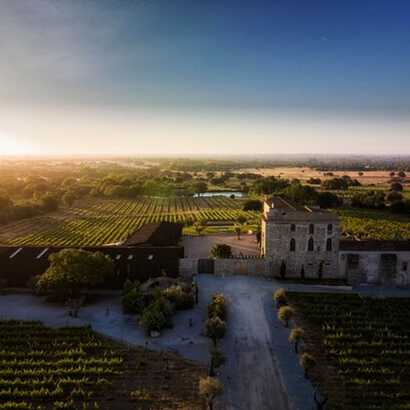 7d70b0d6-2824-4beb-887c-3bbaa76b873d large