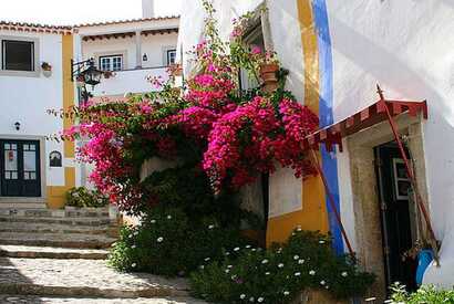 Portugal Urlaub in der Region Centro, weiße Häuser mit blauen oder gelben Rahmen und farbigen Blumen