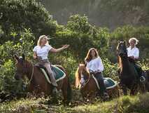 Patio Lodge Faial – Naturnahe Reitabenteuer für entspannte Urlaubsmomente auf den Azoren.