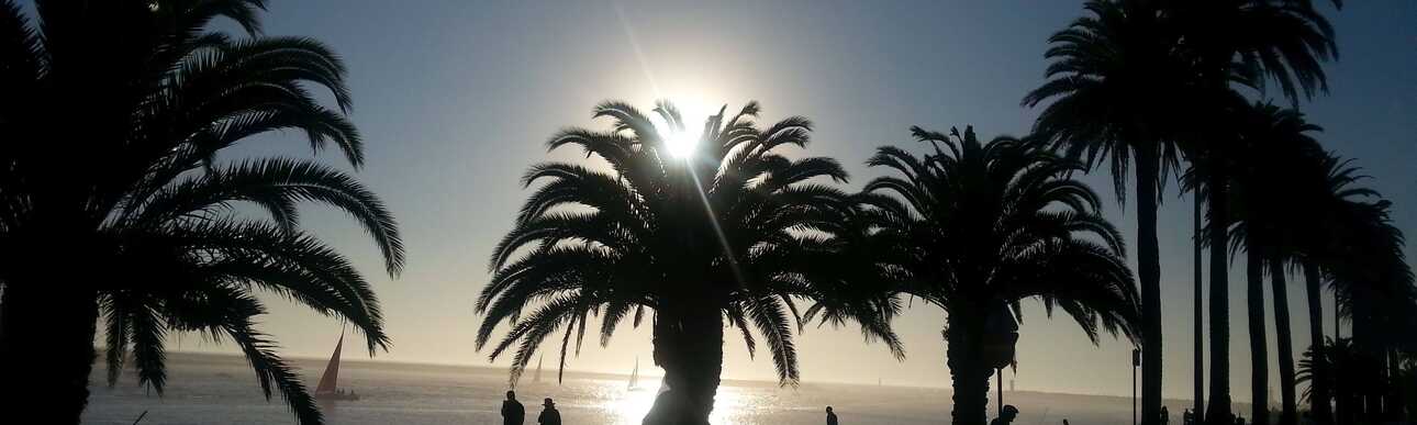 Die Sonne geht über dem Ozean unter und Palmen runden das Bild ab