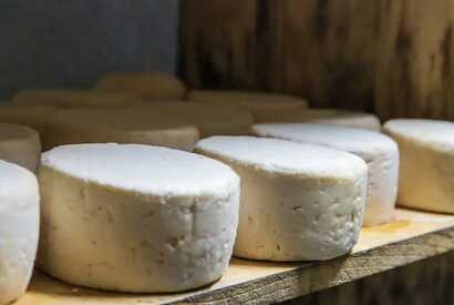 Frisch gereifter Ziegenkäse aus Cabo Verde auf einem Holzregal – ein traditionelles, regionales Lebensmittel der Kapverden.