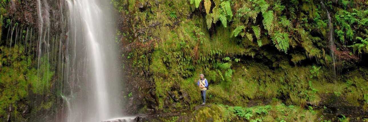 madeira-levada-caldeirao-verde