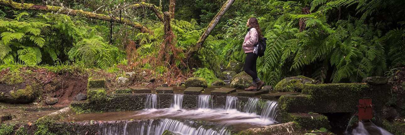Madeira Levada do Rei
