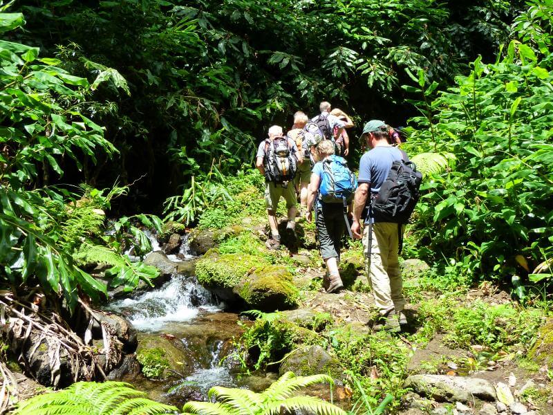 Egal ob Gruppenreise oder auf eigene Faust: Wanderungen auf den Azoren sind immer ein Erlebnis