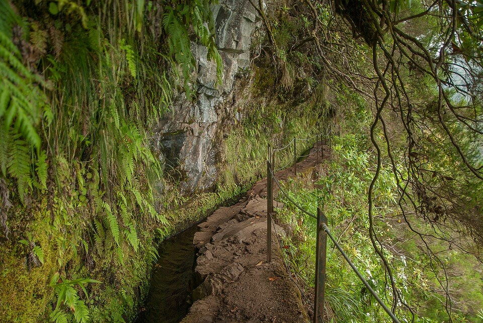 Urwald-Gefühl in den Wäldern der Levada do Norte