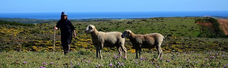 Idyllische Landschaft in Portugal