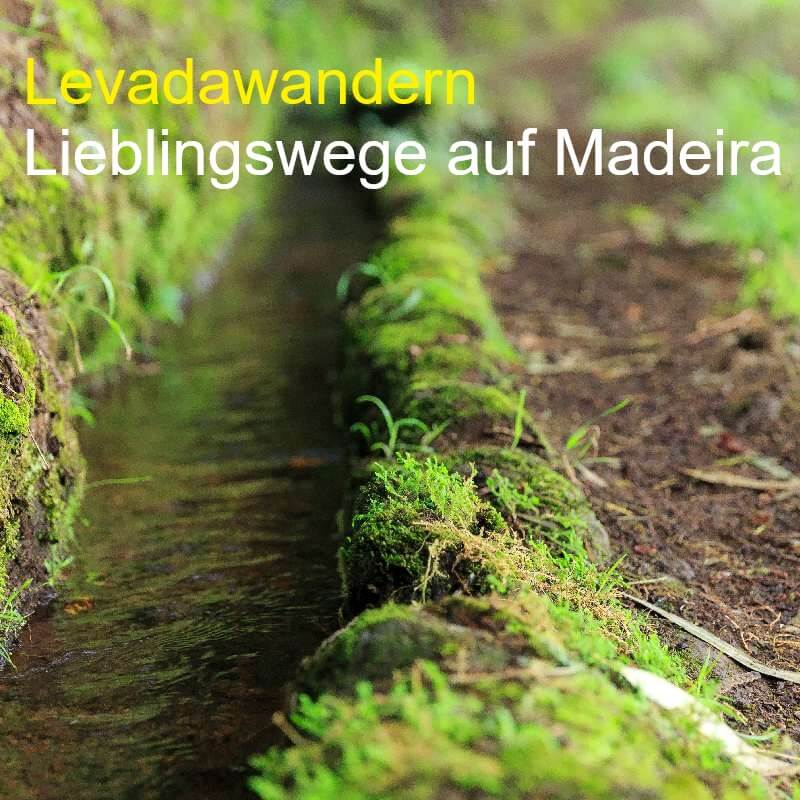 5 TOP Touren: Levadawandern auf Madeira